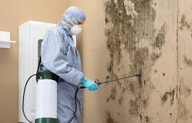 Northlake, IL Mold Removal & Remediation Company